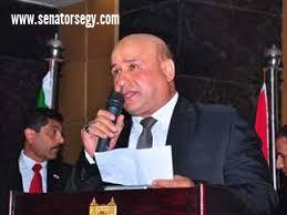 صوت مصر: مصر تحمي القضية الفلسطينية من التهميش